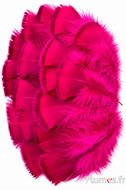 Dindon bronze blanchi - 5-15 cm - fuchsia-caramel